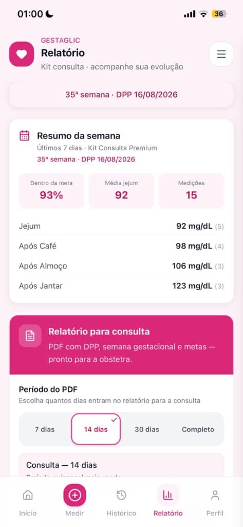 Tela de relatório PDF no GestaGlic